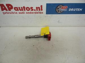 Ignition Coil AUDI A6 Avant (4F5, C6)