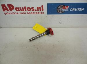 Ignition Coil AUDI A6 Avant (4F5, C6)