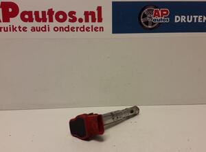 Ignition Coil AUDI A6 (4F2, C6)