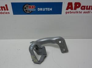 Heckklappenscharnier AUDI Q5 (8RB), AUDI Q5 Van (8RB)