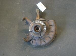 Wheel Bearing Housing VW Vento (1H2)