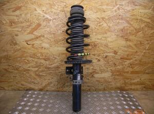 Suspension Strut SKODA Roomster (5J)