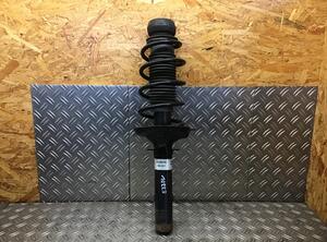 Suspension Strut VW Golf IV (1J1)