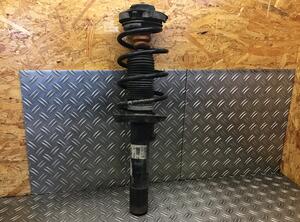 Suspension Strut VW TOURAN (1T1, 1T2), VW TOURAN VAN (1T1, 1T2), VW TOURAN (1T3)