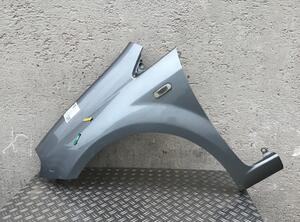 Wing FIAT GRANDE PUNTO (199_), FIAT PUNTO EVO (199_), FIAT PUNTO (199_), ABARTH GRANDE PUNTO