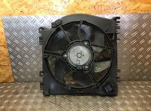 Radiator Electric Fan  Motor RENAULT Clio III (BR0/1, CR0/1), RENAULT Clio IV (BH)