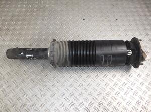 Suspension Strut MERCEDES-BENZ S-Klasse (W220)