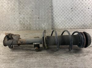 Suspension Strut SUZUKI SWIFT IV (FZ, NZ)