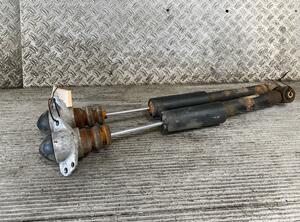 Shock Absorber SKODA Fabia II (542)