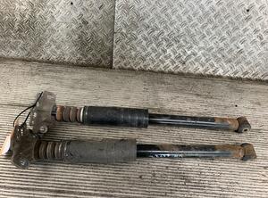 Shock Absorber FIAT PUNTO (199_), FIAT GRANDE PUNTO (199_), FIAT PUNTO EVO (199_)