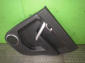 Door Card (Door Panel) CHEVROLET Captiva (C100, C140)