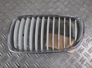 Radiateurgrille BMW 1er Coupe (E82)