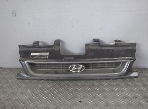 Radiator Grille HYUNDAI Sonata II (Y-2)