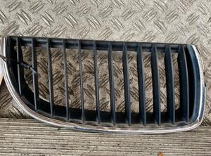 Radiator Grille BMW 3 Touring (E91), BMW 3 (E90)