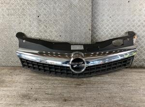 Radiateurgrille OPEL ASTRA H TwinTop (A04), OPEL ASTRA H (A04)