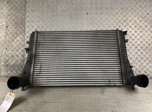 Intercooler VW Tiguan (5N), VW Passat Variant (3C5), VW Passat Variant (365), VW Golf V (1K1)