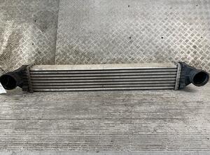 Intercooler MERCEDES-BENZ A-Klasse (W169)