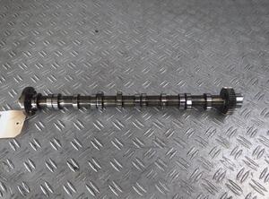 Camshaft AUDI Q7 (4LB)