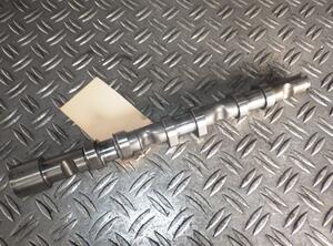 Camshaft AUDI A6 (4F2, C6)