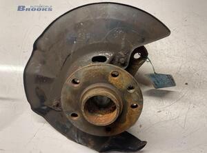 Stub Axle VW TRANSPORTER V Van (7HA, 7HH, 7EA, 7EH), VW TRANSPORTER VI Van (SGA, SGH, SHA, SHH)