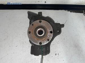 Stub Axle FIAT PUNTO (188_), FIAT PUNTO Hatchback Van (188_)