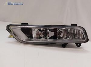 Fog Light VW PASSAT (362)