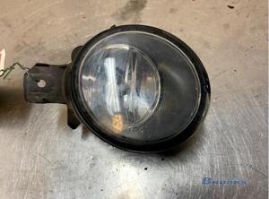 Fog Light RENAULT CLIO III (BR0/1, CR0/1)