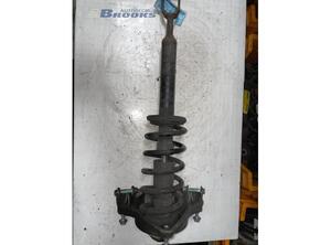 Suspension Strut AUDI A6 (4F2, C6)