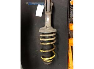 Suspension Strut VW POLO (6N1)