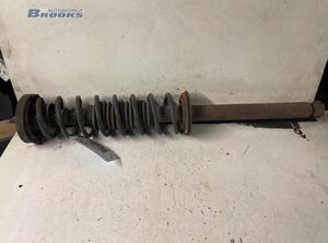 Suspension Strut RENAULT TWINGO I (C06_)