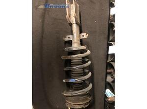 Suspension Strut RENAULT VEL SATIS (BJ0_)