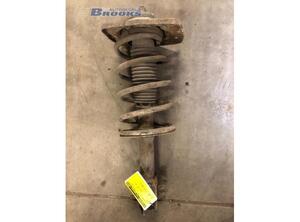 Suspension Strut PEUGEOT EXPERT Van (222)