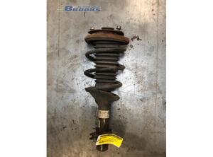 Suspension Strut MG MG ZR, ROVER 25 Hatchback (RF)