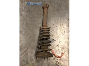 Suspension Strut NISSAN PRIMERA Hatchback (P10)