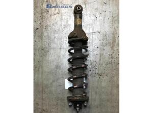 Suspension Strut MG MG ZR, ROVER 25 Hatchback (RF)