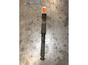 Suspension Strut PEUGEOT 406 (8B)