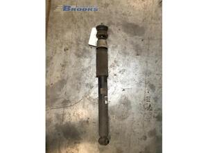 Suspension Strut PEUGEOT 406 (8B)