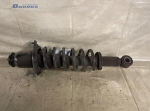 Federbein rechts hinten Toyota Corolla Liftback E12  P1684549