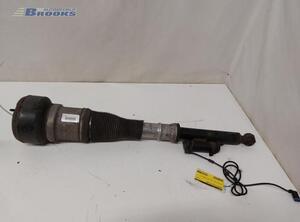 Suspension Strut MERCEDES-BENZ S-CLASS (W221)