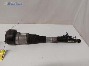 Suspension Strut MERCEDES-BENZ S-CLASS (W221)