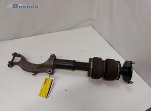 Suspension Strut AUDI A5 (F53, F5P)