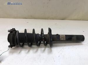 Suspension Strut AUDI A3 (8P1), AUDI A3 Sportback (8PA)