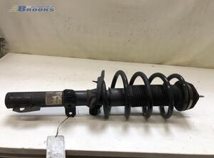 Suspension Strut FORD TRANSIT Bus (FD_ _, FB_ _, FS_ _, FZ_ _, FC_ _), FORD TRANSIT V363 Bus (FAD, FBD)