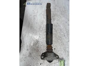 Shock Absorber VW PASSAT Variant (3C5), VW PASSAT B7 Estate Van (365)