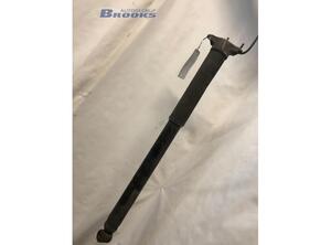 Shock Absorber VOLVO V40 Hatchback (525, 526), VOLVO V40 Cross Country (526)