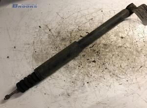 Shock Absorber RENAULT MODUS / GRAND MODUS (F/JP0_)