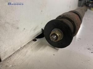 Shock Absorber RENAULT CLIO II (BB_, CB_)