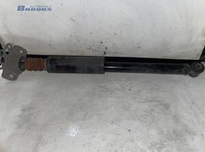 Shock Absorber FIAT GRANDE PUNTO (199_), FIAT PUNTO (199_), FIAT PUNTO EVO (199_)