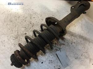 Shock Absorber VW POLO (6N1)