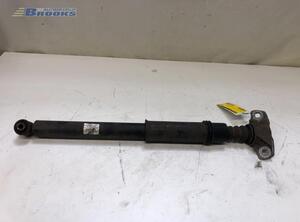 Shock Absorber CITROËN C4 II (B7)